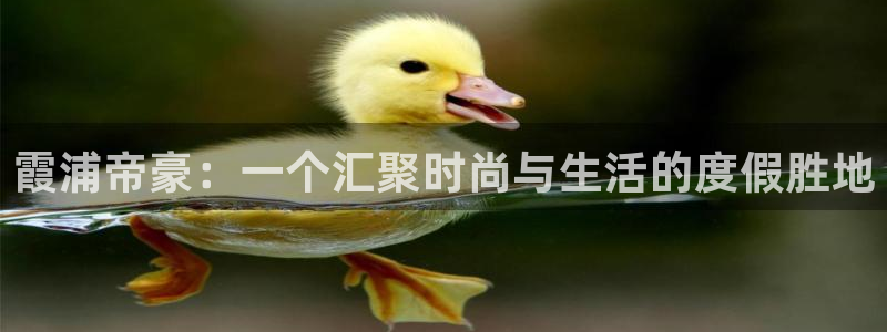 彩名堂官网免费下载：霞浦帝豪：一个汇聚时尚与生活的度假胜地