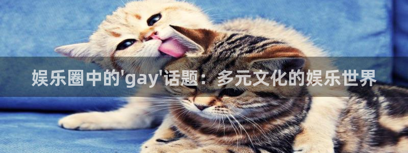 彩名堂怎么样：娱乐圈中的\'gay\'话题：多元文化的娱乐世界