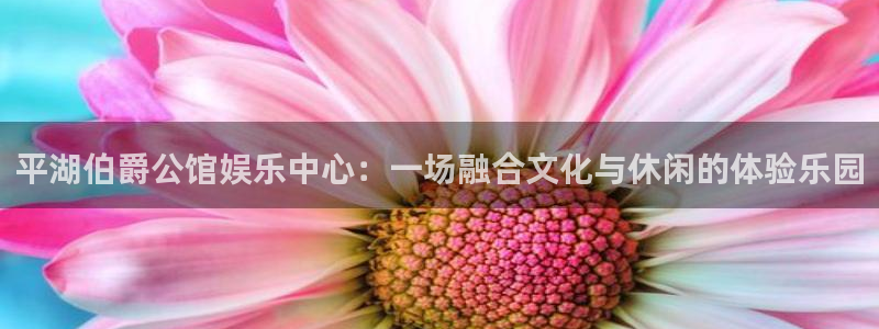 彩名堂6.0计划：平湖伯爵公馆娱乐中心：一场融合文化与休闲的体验乐园