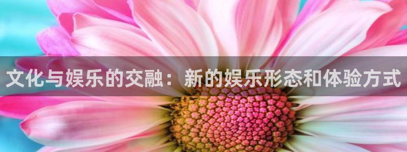 彩名堂官网2：文化与娱乐的交融：新的娱乐形态和体验方式