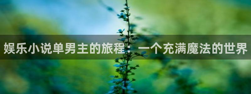 彩名堂人工计划：娱乐小说单男主的旅程：一个充满魔法的世界
