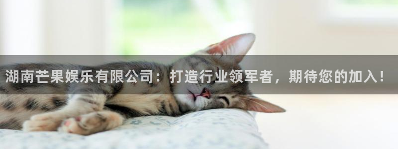 彩名堂旧版本下载：湖南芒果娱乐有限公司：打造行业领军者，期待您的加入！