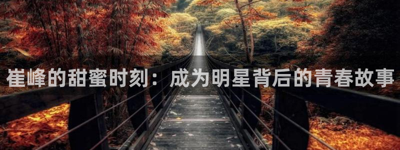 彩名堂计划怎么样：崔峰的甜蜜时刻：成为明星背后的青春故事