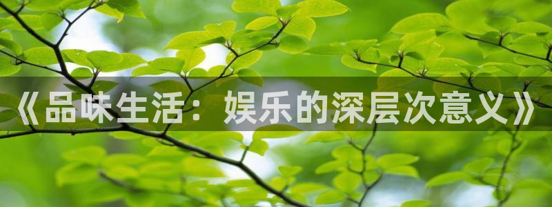 彩名堂计划怎么打不开了：《品味生活：娱乐的深层次意义》