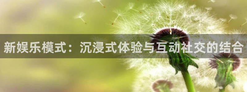 彩名堂计划怎么打不开了：新娱乐模式：沉浸式体验与互动社交的结合